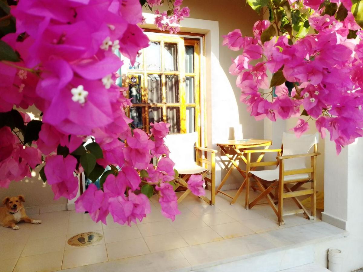 Irini Apartments Platanias  Exterior photo